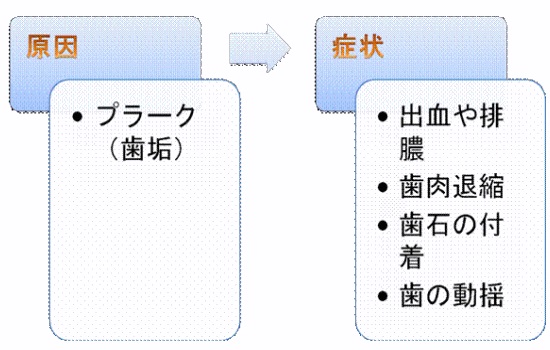 歯周病について